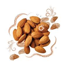 تصویر 3 از قیمت عمده مغز بادام مامایی + خرید مطمئن و اقتصادی برای تجار و بازرگانان